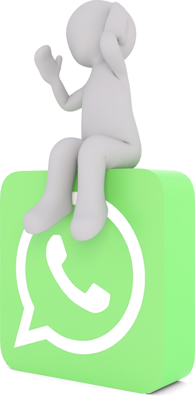 Optimize Social Media with Whatsapp